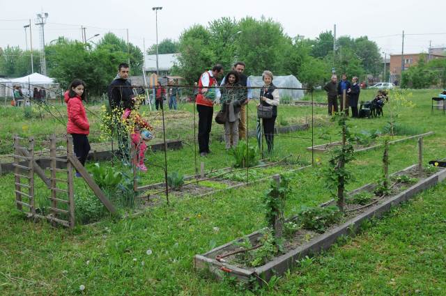 ortoCollettivoMassari-15